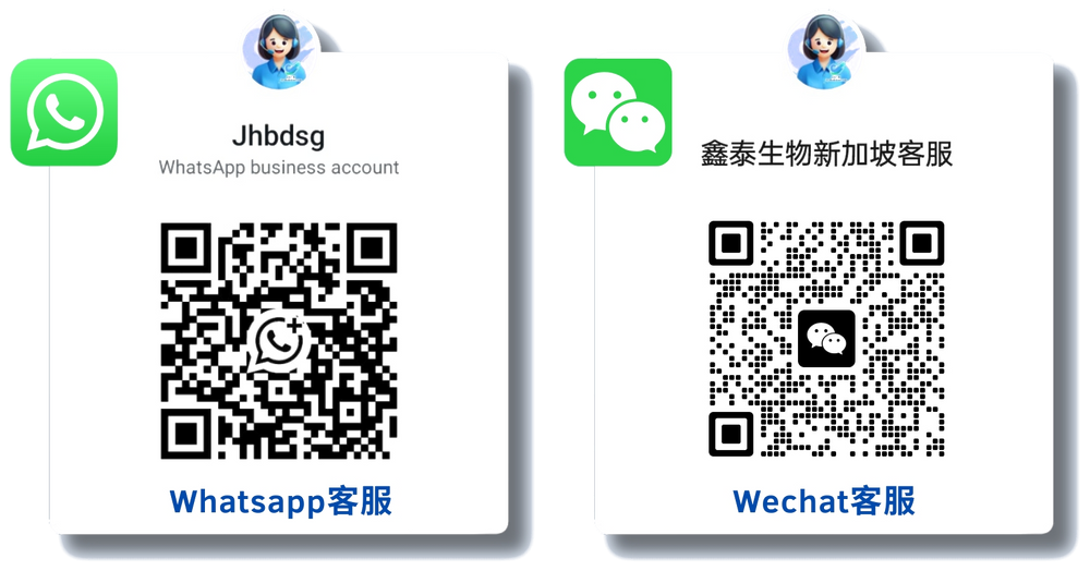 Singapore customer service WhatsApp and WeChat QR codes