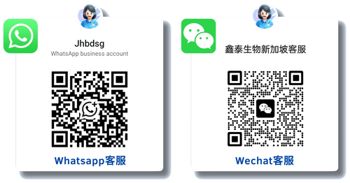 Singapore WhatsApp and WeChat QR codes
